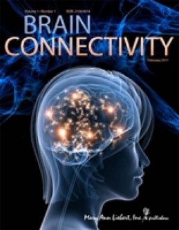 Brain-Connectivity Brain Connectivity