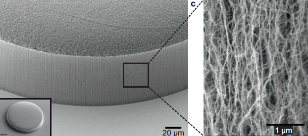 CNT textured porosity