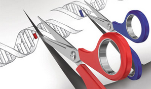 CRISPR