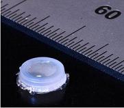 Capsule-Sensor