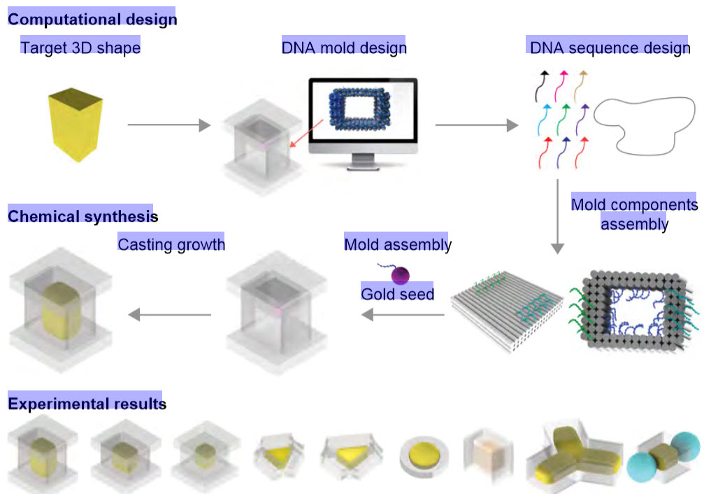 Casting with DNA