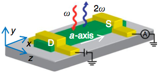 CdS nanobelt device