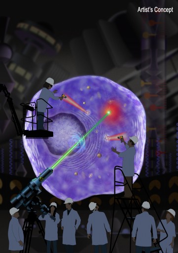 Cell_Scientists_Illustration