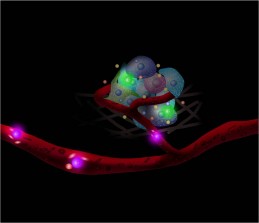 Cells Sensors