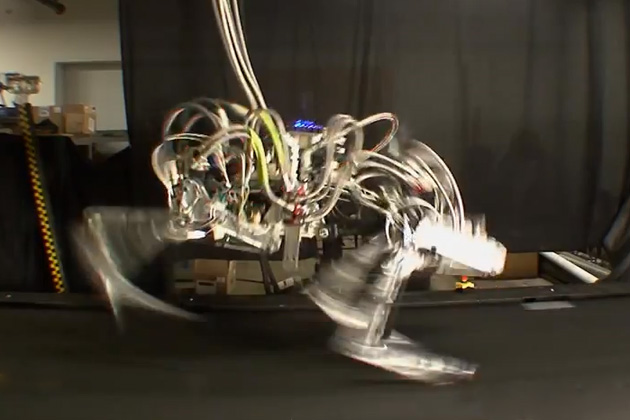 Cheetah Robot