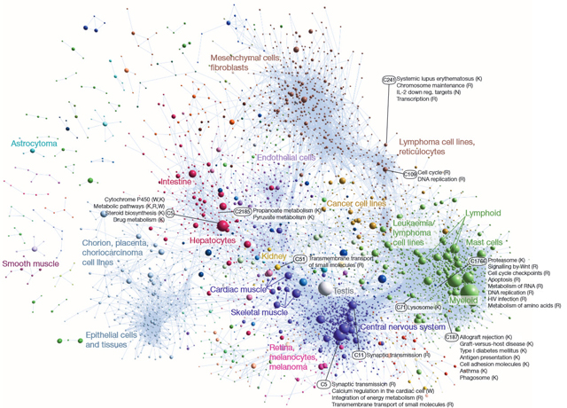 Coexpression-clustering