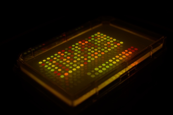 Microbial messaging