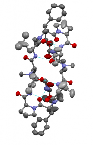 Crystal_structure_of_modified_Gramicidin_S