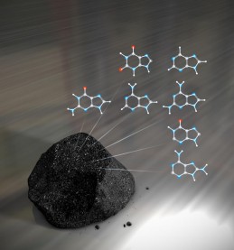 DNA-Meteorite DNA Meteorite