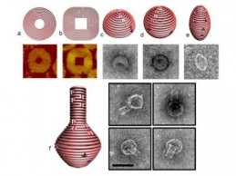 DNA-Origami DNA Origami