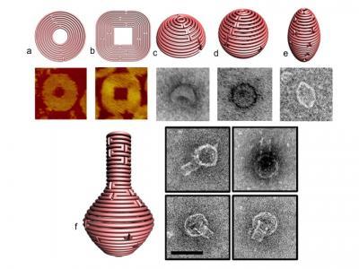 DNA Origami
