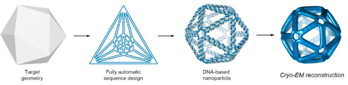 DNA origami nanoparticles