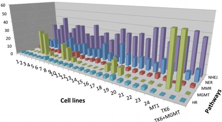 DNA repair test