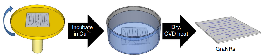 DNA to GraNR conversion