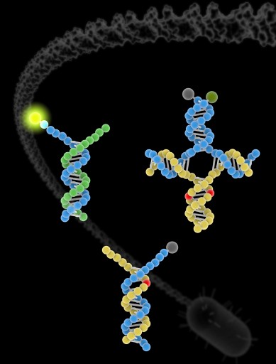 DNA_Nature-Chemistry_2