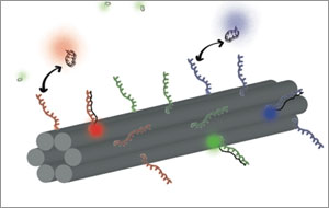 DNA Barcode Nanotube