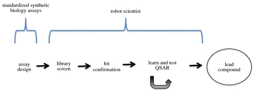 Early-stage drug design