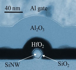 Electron Micrograph