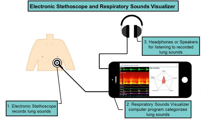 Electronic Stethoscope and Respiratory Sounds Visualizer