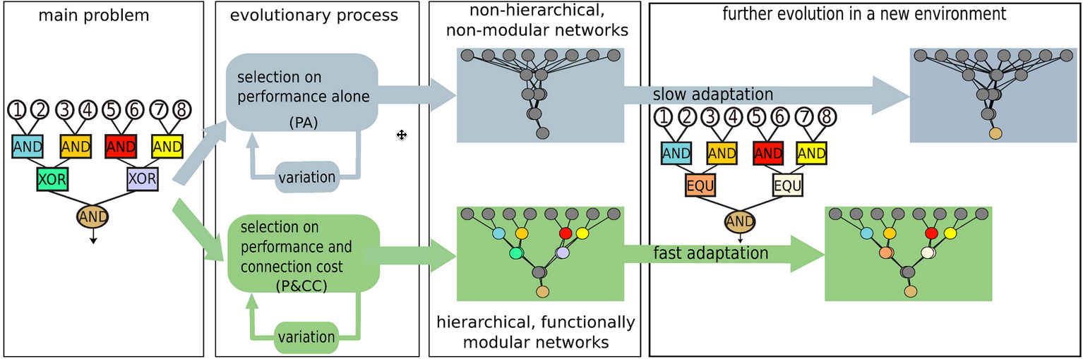 Evolutionary Origins of Hierarchy