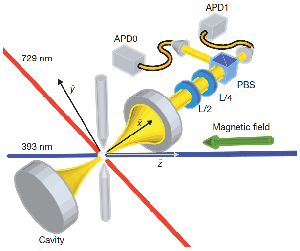 Experimental apparatus and entanglement sequence