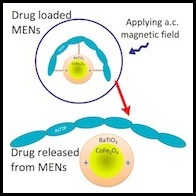 FIU_drug_delivery