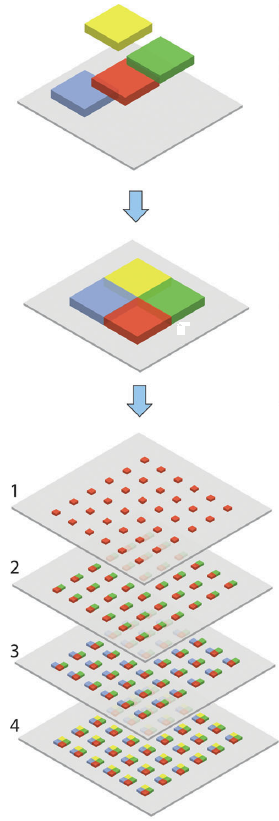 Fabrication of multilayer tissue prototypes