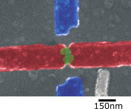 False colour scanning electron microscope image