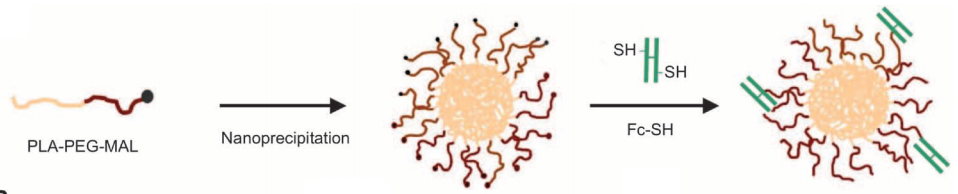 Fc nanoparticles