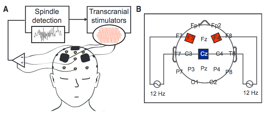 Feedback-Controlled Spindle tACS