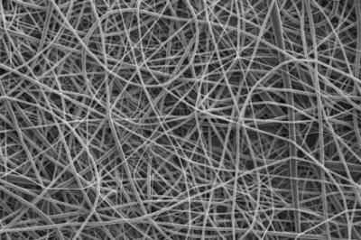 Fibers