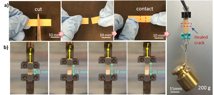 Flexible Insulator