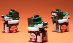 Foraging-Robots Foraging Robots