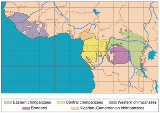Geographical distribution
