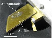 Gold Nanorod