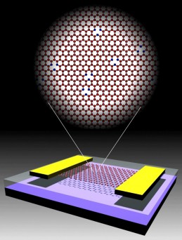 Graphene-Magnet Graphene Magnet