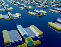 Graphene Transistors