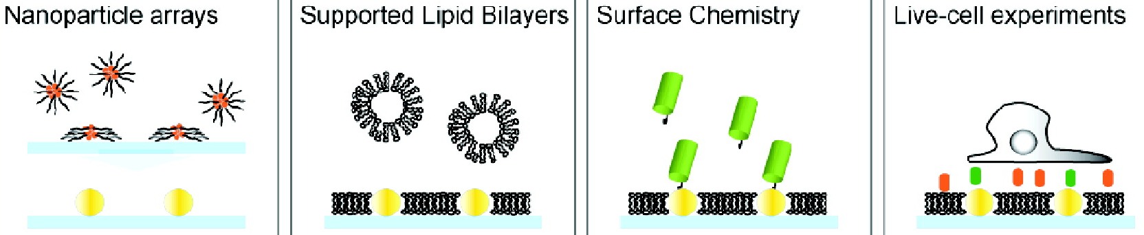Groves-gold-nano-schematic Groves-gold-nano-schematic