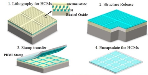 HCM fabrication