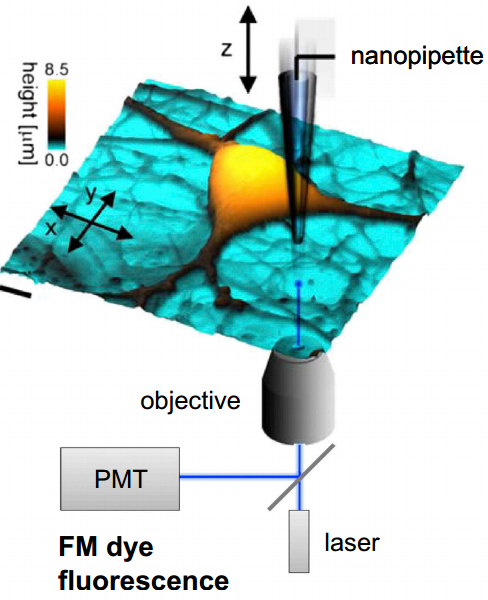 HPICM scanning