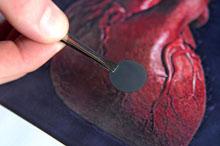 Heart-Patch