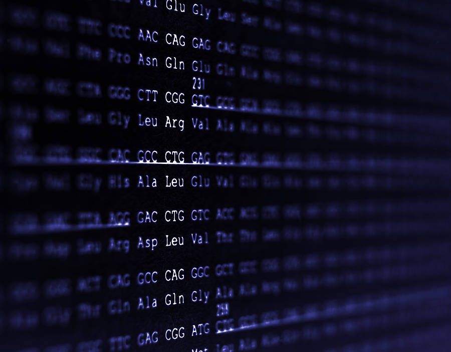 Human genome sequence