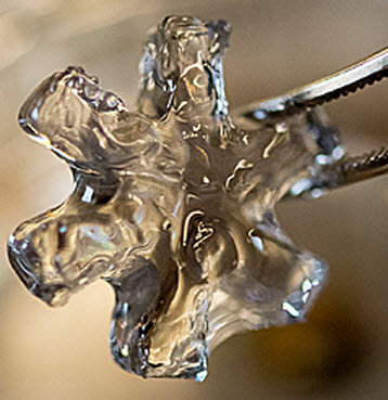 Hydrogel_carbon_nanotubes