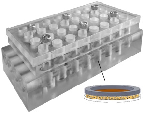 IBN Microporous Membrane Sandwich Culture IBN Microporous Membrane Sandwich Culture