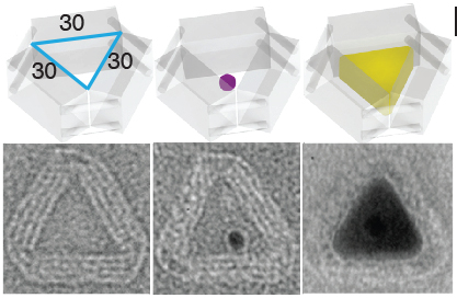 fig4-test