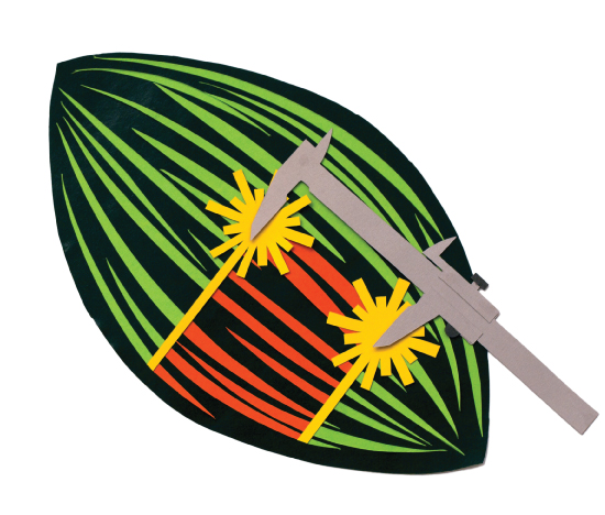 Image4 An artistic representation of the cutting method used to measure the microtubules' lengths. Image courtesy of Julie Eichhorn.