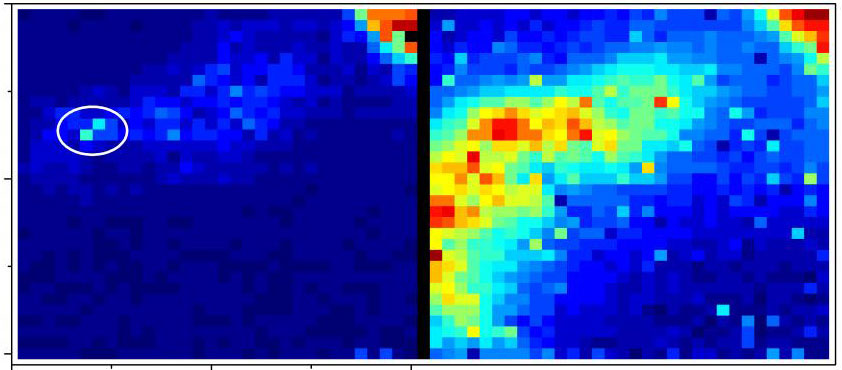 Images-from-a-New-Camera-That-Can-Detect-Tiny-Traces-of-Light-through-the-Body's-Tissues