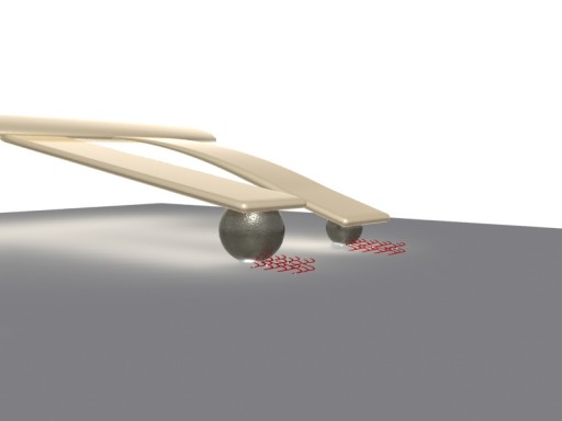 Ivanisevic cantilever image