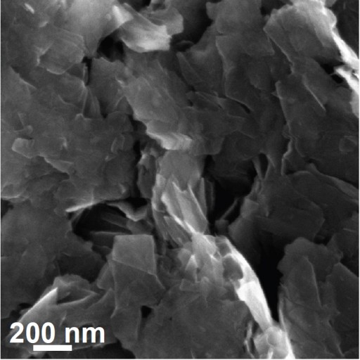 Jin_MoS2_catalysis_Figure3a_Metallic_MoS2_Nanosheets_on_Graphite_SEM