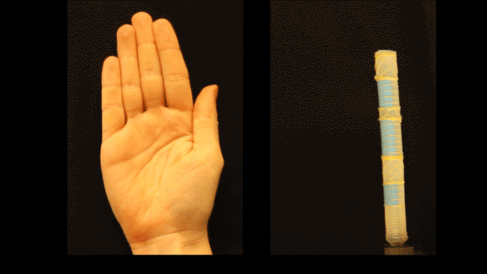 KatiaConorThumb